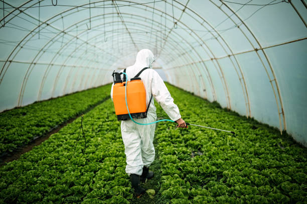 Best Best Pest Control Near Me  in St Francis, KS