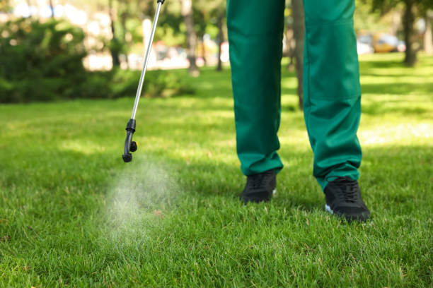 Best Ant Control Services  in St Francis, KS