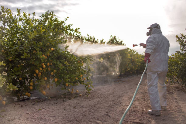 Best Affordable Pest Control Services  in St Francis, KS
