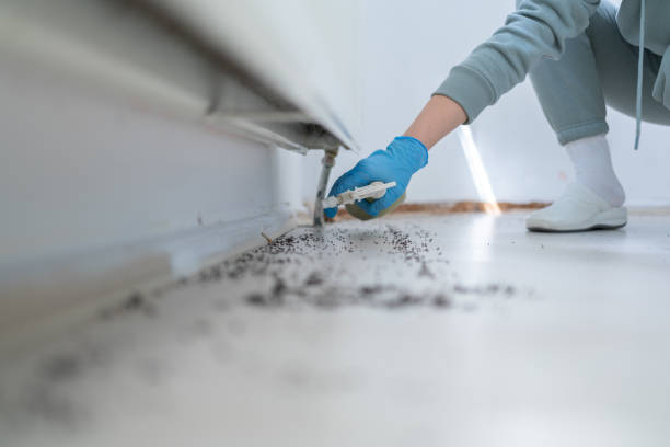 Best Affordable Pest Control Services  in St Francis, KS